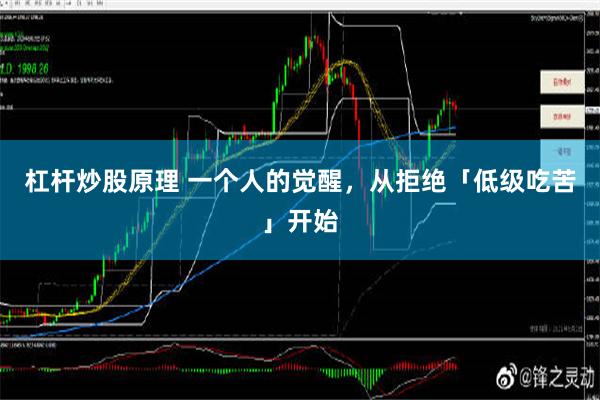 杠杆炒股原理 一个人的觉醒，从拒绝「低级吃苦」开始