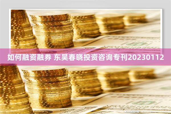 如何融资融券 东吴春晓投资咨询专刊20230112