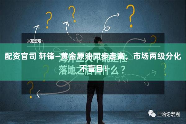 配资官司 轩锋—黄金原油同步走高，市场两级分化不盲目！